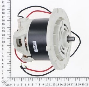 Motor 36V