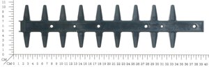 Dental Board