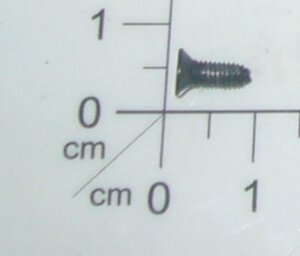 Thread Forming Screw