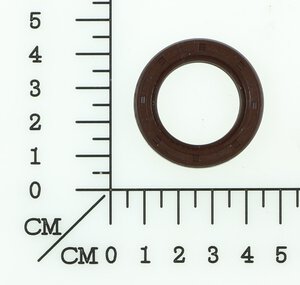 Oil seal