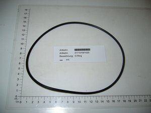 O-Ring