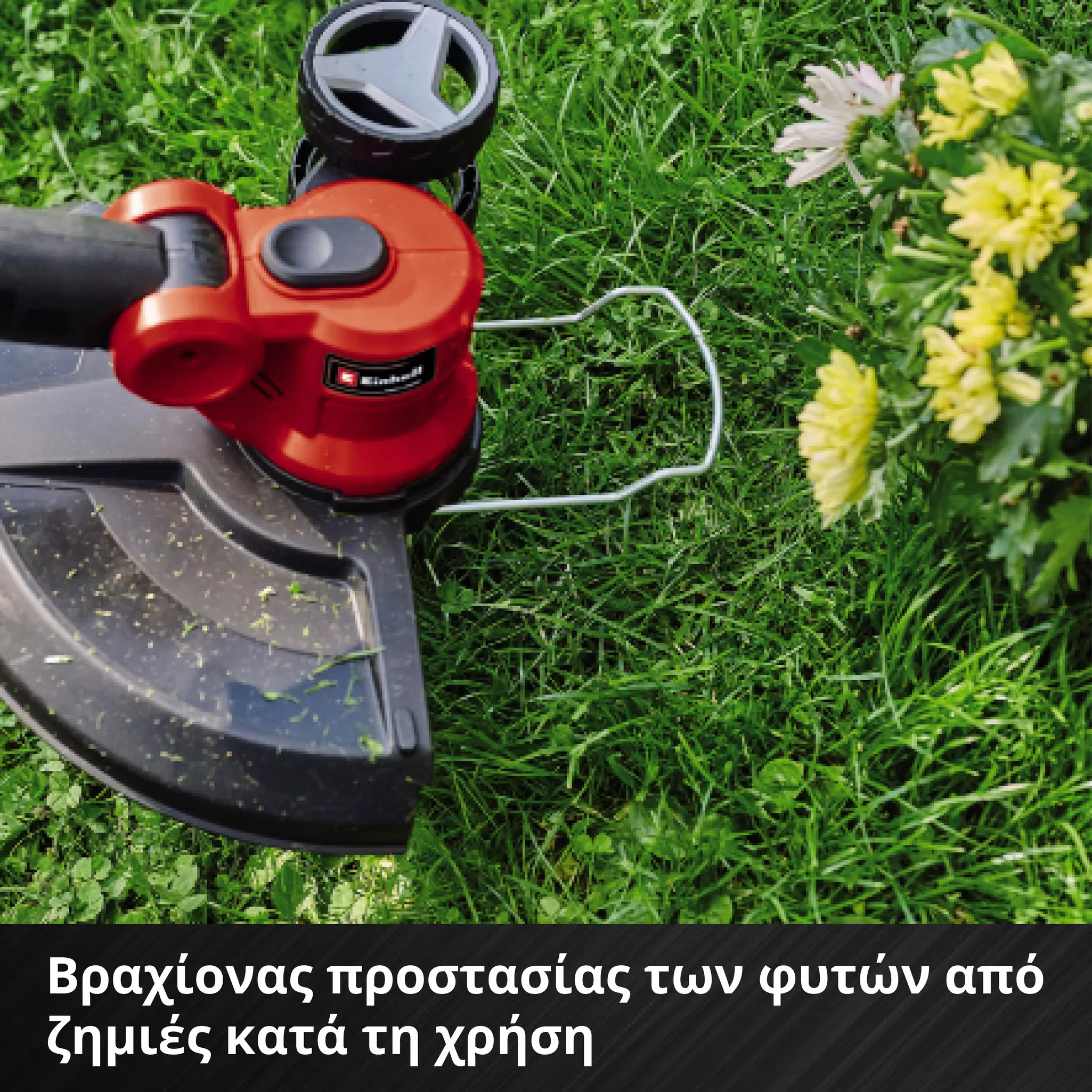 einhell-expert-cordless-lawn-trimmer-3411250-detail_image-006