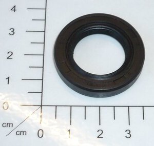 oil seal
