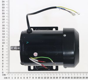 Motor