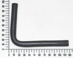 trachea