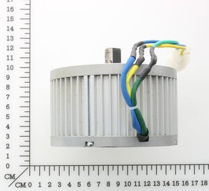 36V Brushless Motor