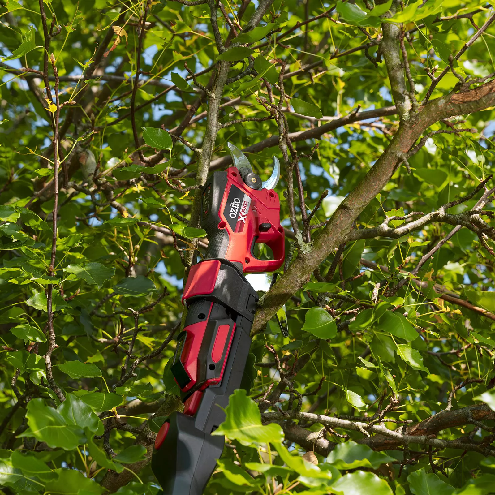 ozito-cordless-pruning-shears-3001291-example_usage-102