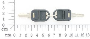 Schlüssel 1005