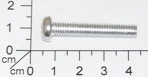 Screw
