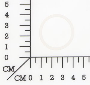 O-Ring