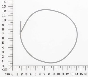 seal ring
