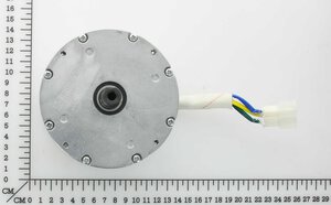 36V Brushless Motor