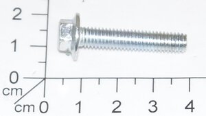 BOLT  M6*30