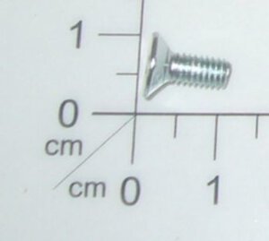 Screw
