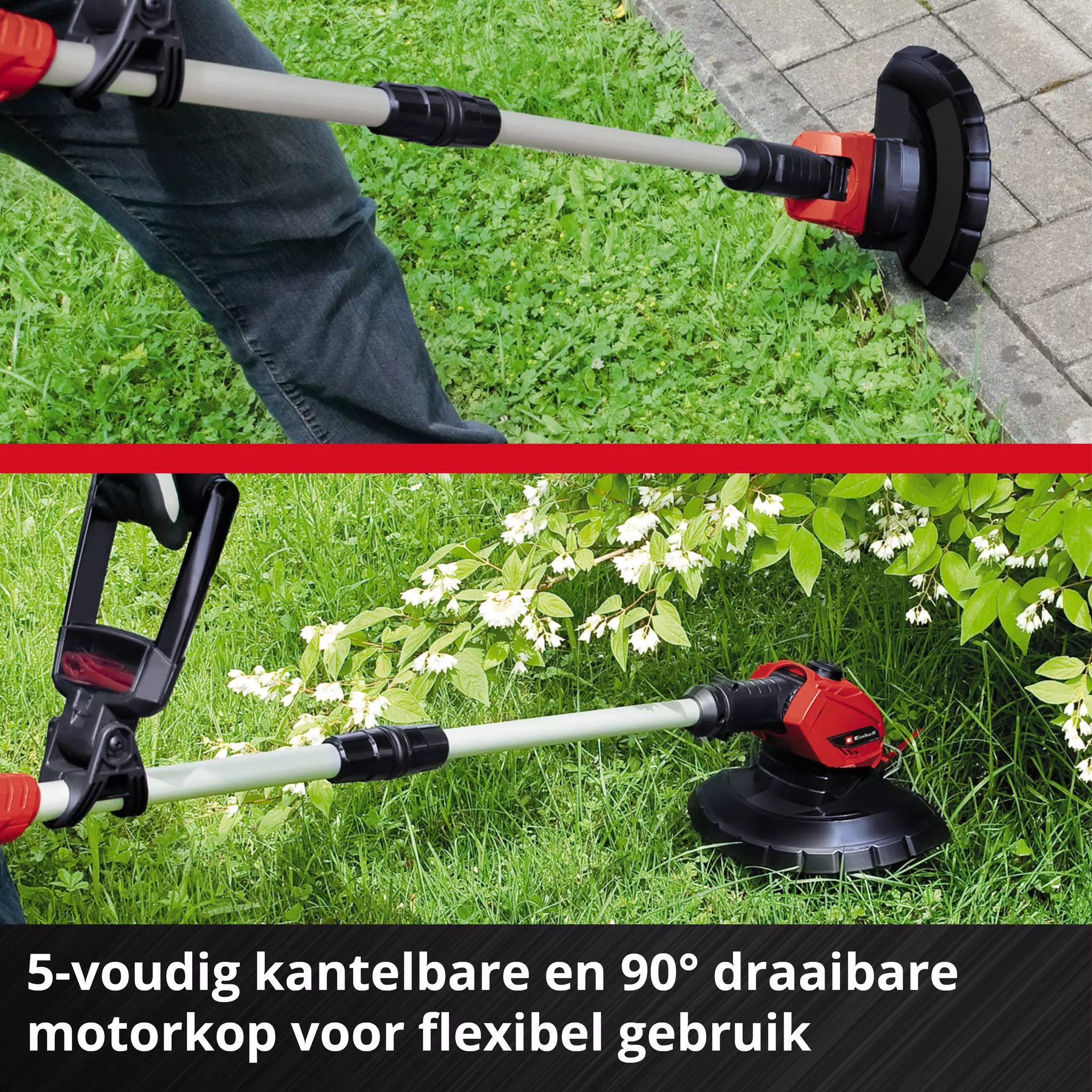 einhell-expert-cordless-lawn-trimmer-3411219-detail_image-003