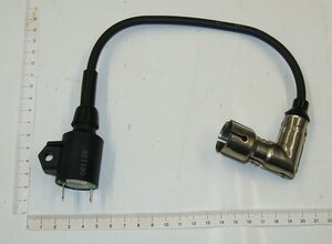 Zündspule