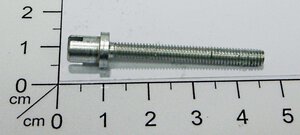 Screw 