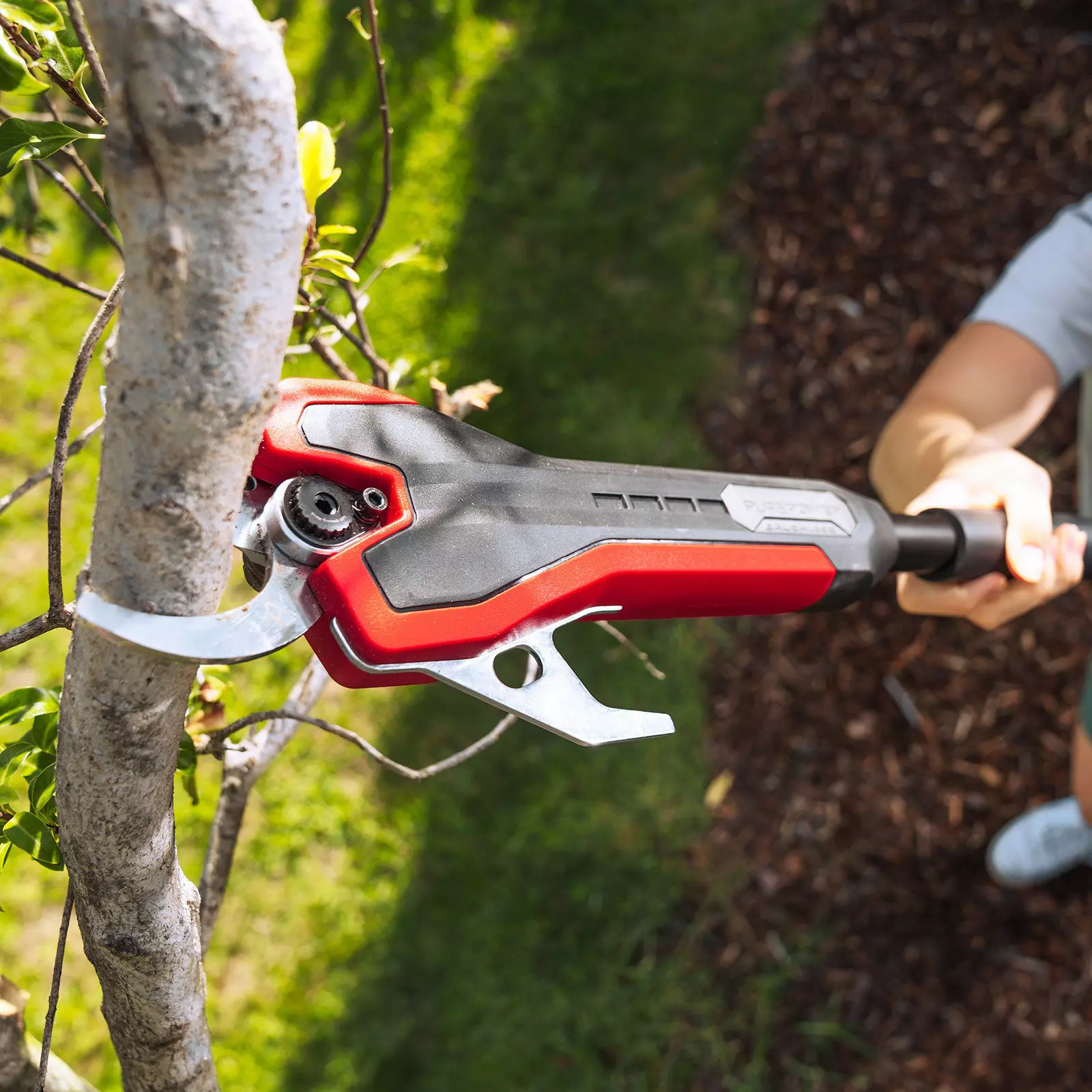 ozito-professional-cordless-pruning-shears-3001313-example_usage-102