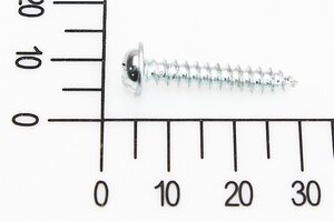 Screw