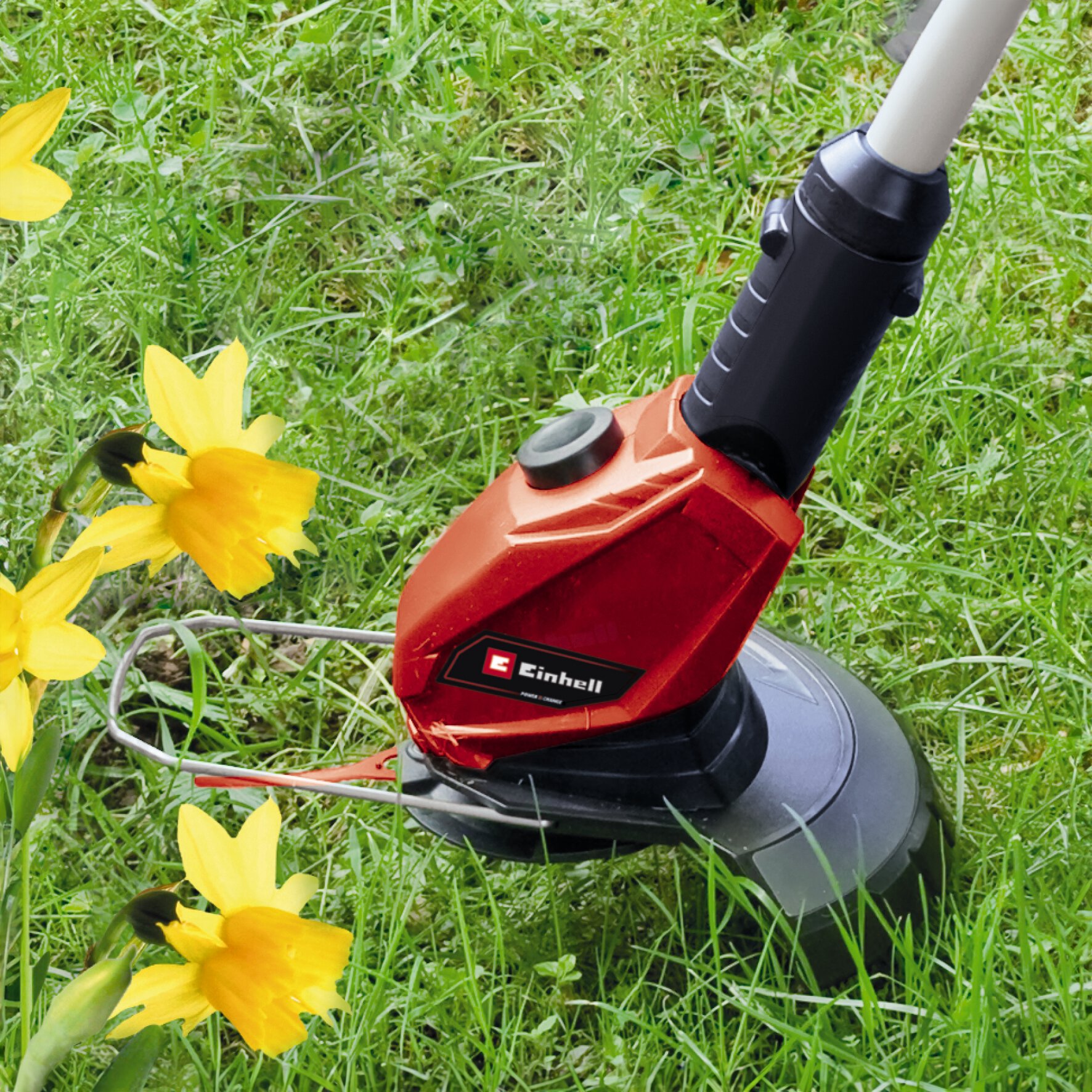 einhell-expert-cordless-lawn-trimmer-3411172-detail_image-003