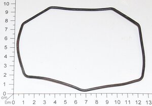 seal ring