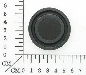 diaphragm