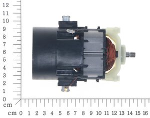 Motor