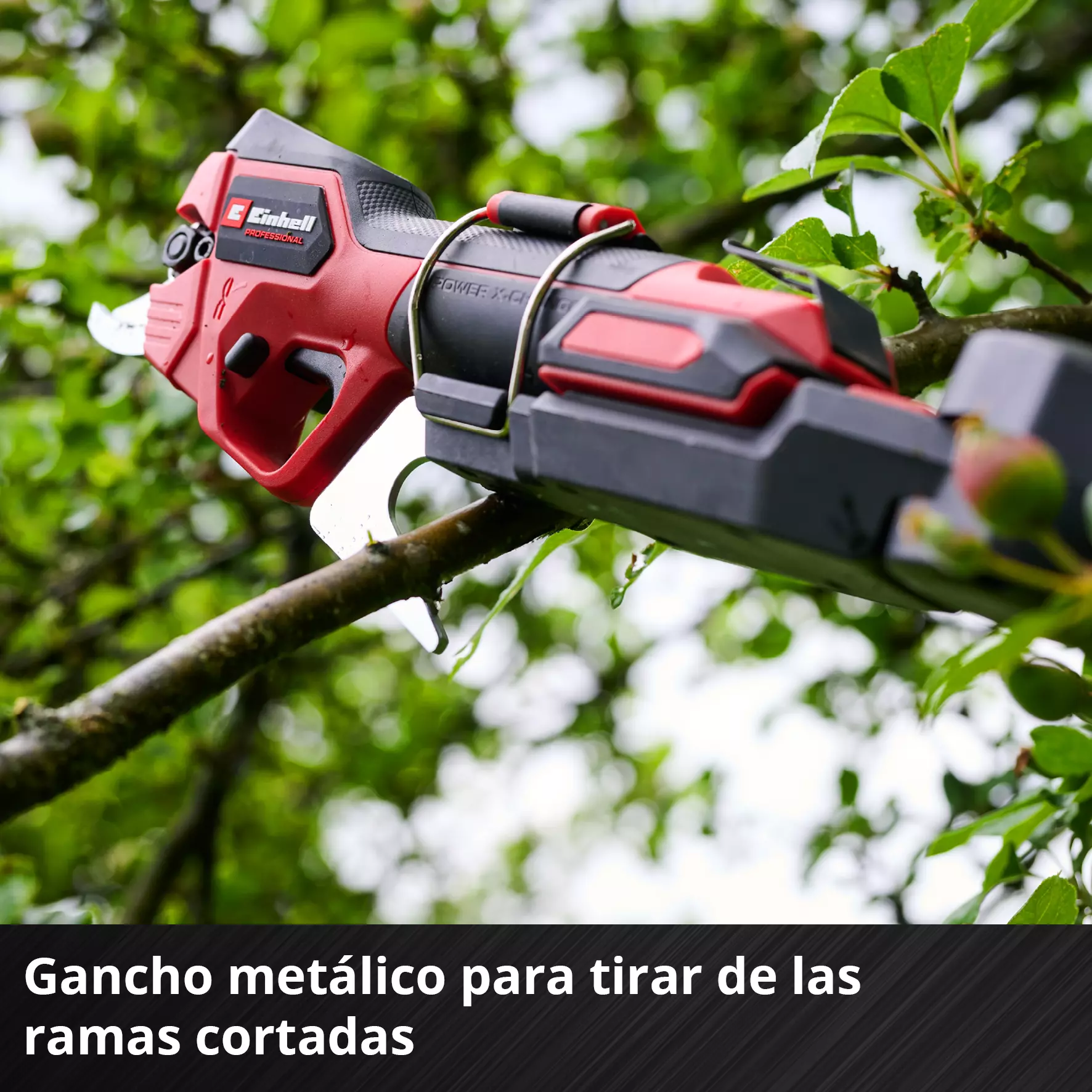 einhell-professional-cordless-pruning-shears-3408330-detail_image-007