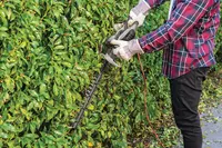 ozito-electric-hedge-trimmer-3000474-example_usage-101
