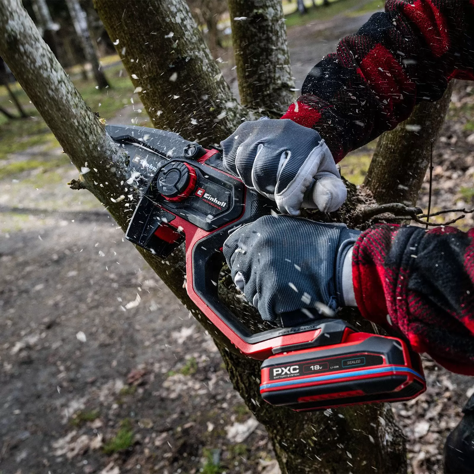 einhell-professional-cordless-garden-pruner-3001458-example_usage-001