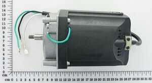 motor (BR) 127V