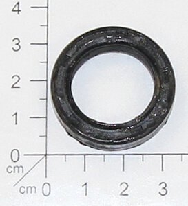 oil seal