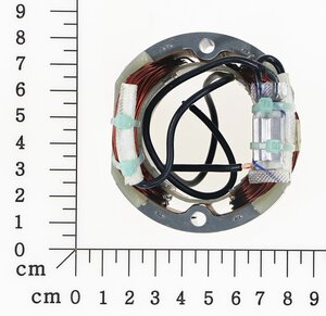 Stator with inductor and prote