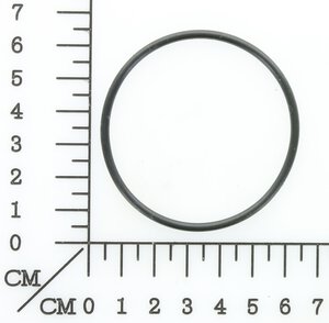 o-ring