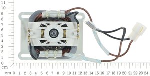 Motor