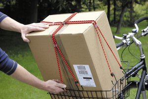 Roof rack spider, 8 arms