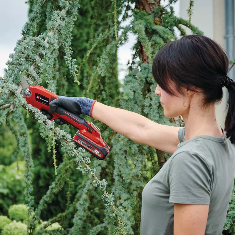 einhell-expert-cordless-pruning-shears-3408300-example_usage-001