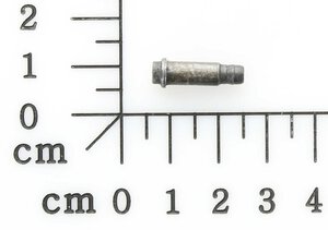 Arretierungsbolzen