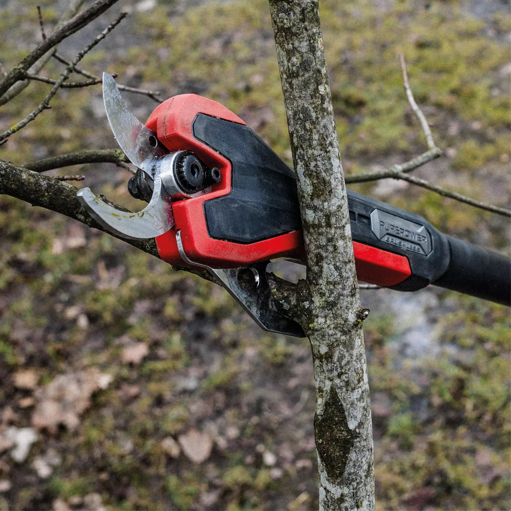 einhell-professional-cordless-pruning-shears-3408360-detail_image-002