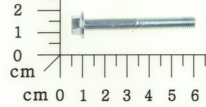 screw M6*44