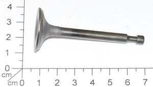 Auslassventil