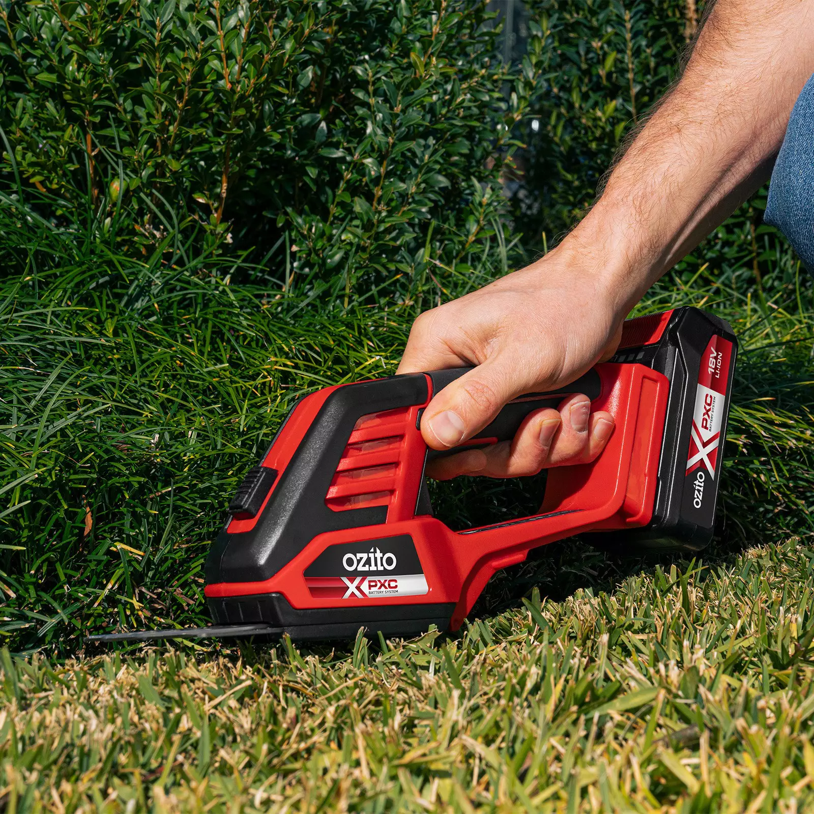 ozito-cordless-grass-and-bush-shear-3001250-example_usage-103
