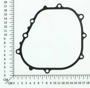 Crankcase gasket