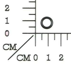 O-ring
