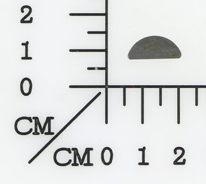 Scheibenfeder