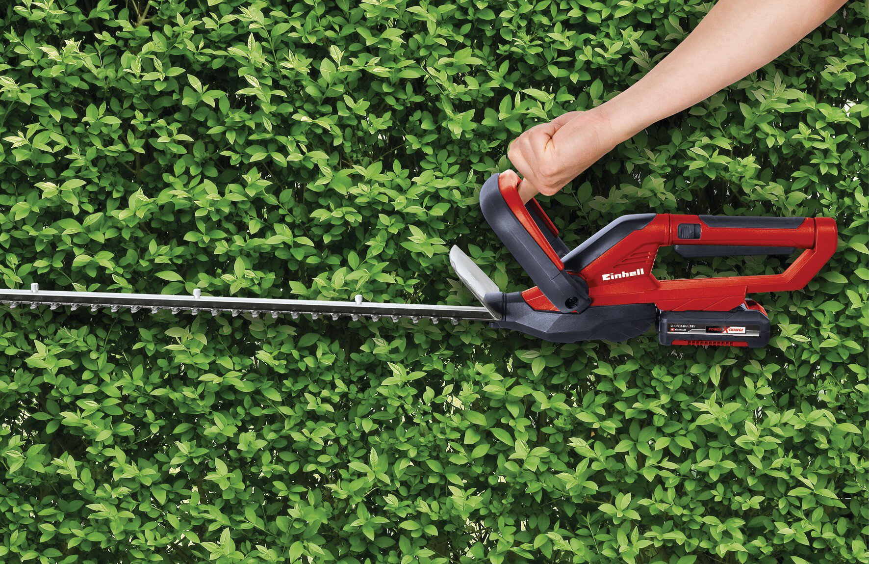einhell-classic-cordless-hedge-trimmer-3410506-example_usage-001