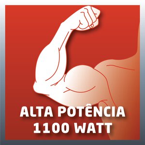 RT-ID 110; EX; BR; 220