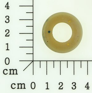Schneckenrad