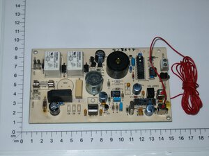 Steuerplatine mit Empfangsteil