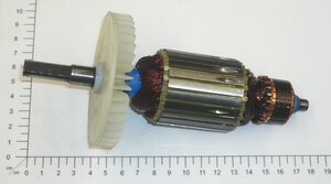 armature
